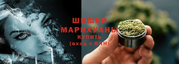 ГАЛЛЮЦИНОГЕННЫЕ ГРИБЫ Алексеевка