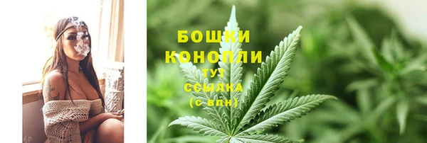 ГАЛЛЮЦИНОГЕННЫЕ ГРИБЫ Алексеевка