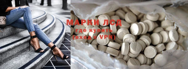 apvp Алзамай