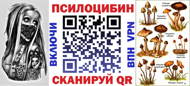 Псилоцибиновые грибы Psilocybe  Жирновск 